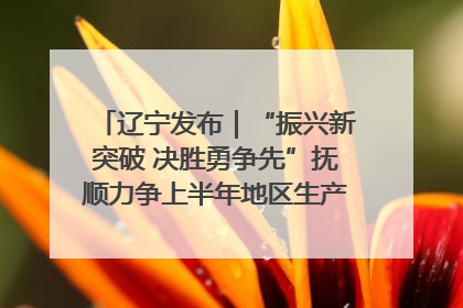 辽宁发布｜“振兴新突破 决胜勇争先”抚顺力争上半年地区生产总值增长7%左右