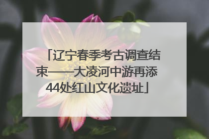 辽宁春季考古调查结束——大凌河中游再添44处红山文化遗址
