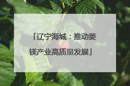 辽宁海城：推动菱镁产业高质量发展