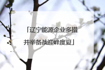 辽宁能源企业多措并举备战迎峰度夏