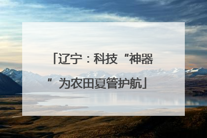 辽宁：科技“神器”为农田夏管护航
