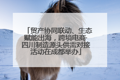 贸产协同联动、生态赋能出海，跨境电商·四川制造源头供需对接活动在成都举办