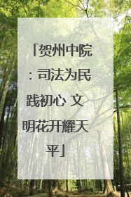 贺州中院：司法为民践初心 文明花开耀天平