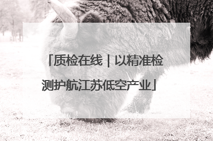 质检在线｜以精准检测护航江苏低空产业