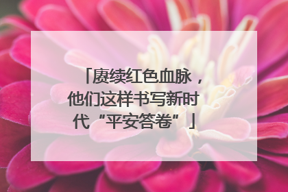 赓续红色血脉，他们这样书写新时代“平安答卷”