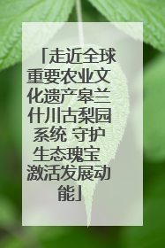 走近全球重要农业文化遗产皋兰什川古梨园系统 守护生态瑰宝 激活发展动能
