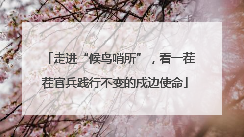 走进“候鸟哨所”，看一茬茬官兵践行不变的戍边使命