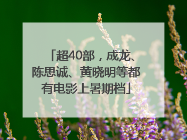 超40部，成龙、陈思诚、黄晓明等都有电影上暑期档