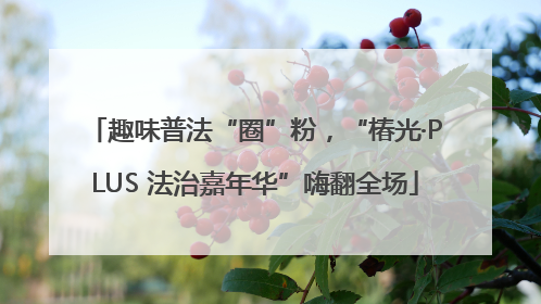 趣味普法“圈”粉，“椿光·PLUS 法治嘉年华”嗨翻全场