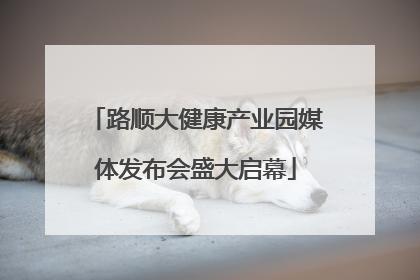 路顺大健康产业园媒体发布会盛大启幕