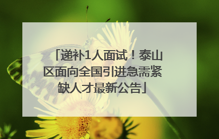 递补1人面试！泰山区面向全国引进急需紧缺人才最新公告