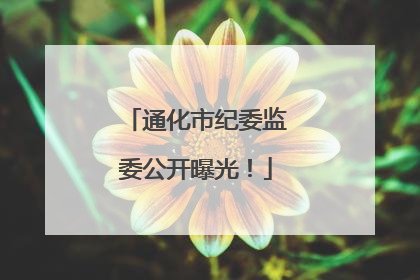 通化市纪委监委公开曝光！