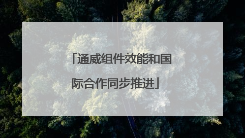 通威组件效能和国际合作同步推进