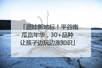 遛娃新地标！平谷南瓜嘉年华，30+品种让孩子边玩边涨知识