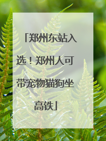 郑州东站入选！郑州人可带宠物猫狗坐高铁