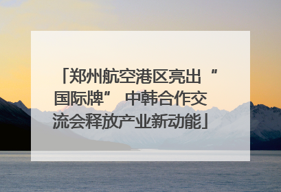 郑州航空港区亮出“国际牌” 中韩合作交流会释放产业新动能