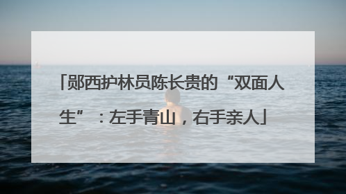 郧西护林员陈长贵的“双面人生”：左手青山，右手亲人
