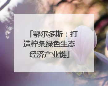鄂尔多斯：打造柠条绿色生态经济产业链