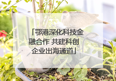 鄂港深化科技金融合作 共建科创企业出海通道
