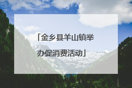 金乡县羊山镇举办促消费活动
