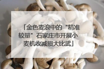 金色麦浪中的“精准较量”石家庄市开展小麦机收减损大比武