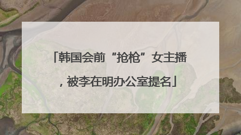 韩国会前“抢枪”女主播，被李在明办公室提名