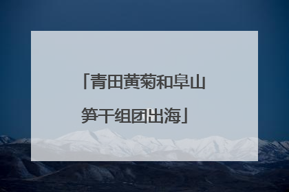 青田黄菊和阜山笋干组团出海