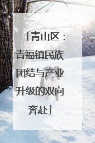 青山区：青福镇民族团结与产业升级的双向奔赴