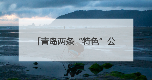 青岛两条“特色”公交线路有调整 昔日最长线312路停运