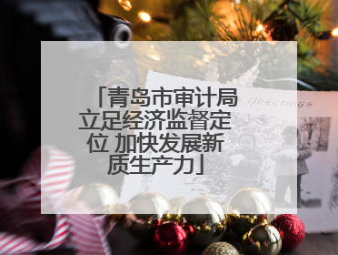 青岛市审计局立足经济监督定位 加快发展新质生产力