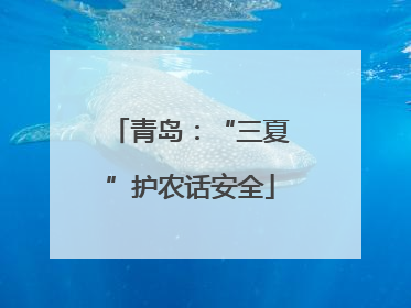 青岛：“三夏”护农话安全