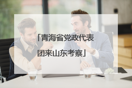 青海省党政代表团来山东考察