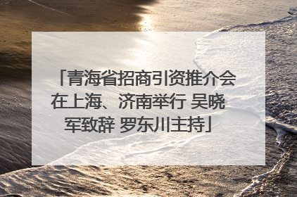 青海省招商引资推介会在上海、济南举行 吴晓军致辞 罗东川主持