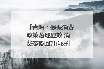 青海：提振消费政策落地显效 消费态势回升向好