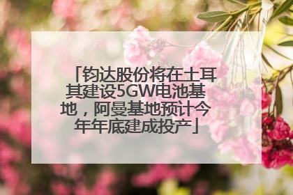 钧达股份将在土耳其建设5GW电池基地，阿曼基地预计今年年底建成投产