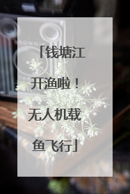 钱塘江开渔啦！无人机载鱼飞行