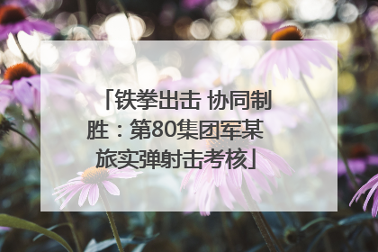 铁拳出击 协同制胜：第80集团军某旅实弹射击考核
