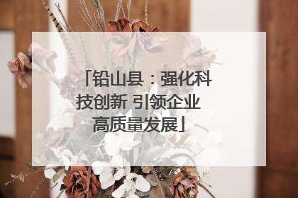 铅山县：强化科技创新 引领企业高质量发展
