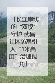 长江岸线的“双堤”守护 武昌社区防溺引入“1米高度”治理视角