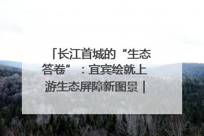 长江首城的“生态答卷”：宜宾绘就上游生态屏障新图景｜中华环保世纪行