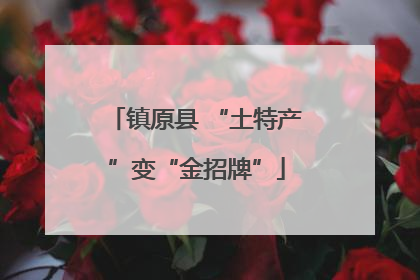 镇原县 “土特产”变“金招牌”