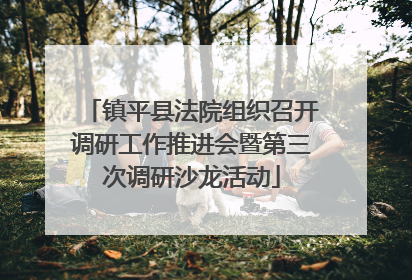 镇平县法院组织召开调研工作推进会暨第三次调研沙龙活动