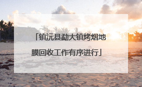 镇沅县勐大镇烤烟地膜回收工作有序进行