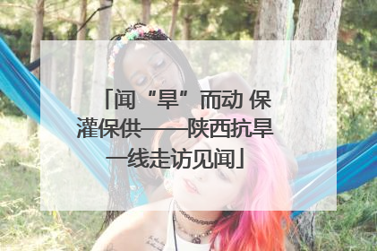 闻“旱”而动 保灌保供——陕西抗旱一线走访见闻
