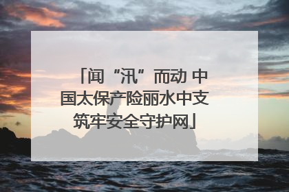 闻“汛”而动 中国太保产险丽水中支筑牢安全守护网