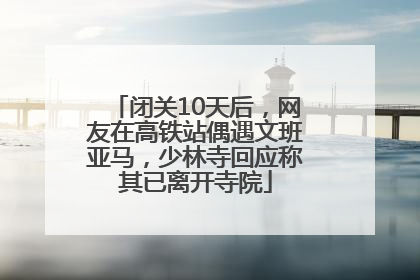 闭关10天后，网友在高铁站偶遇文班亚马，少林寺回应称其已离开寺院