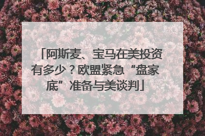 阿斯麦、宝马在美投资有多少？欧盟紧急“盘家底”准备与美谈判