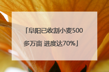 阜阳已收割小麦500多万亩 进度达70%