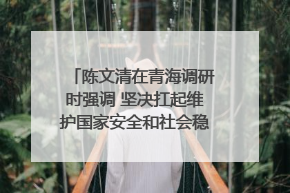 陈文清在青海调研时强调 坚决扛起维护国家安全和社会稳定职责使命 为谱写中国式现代化青海篇章贡献政法力量
