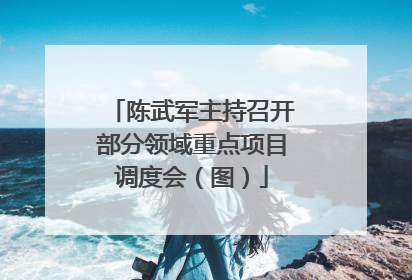 陈武军主持召开部分领域重点项目调度会（图）